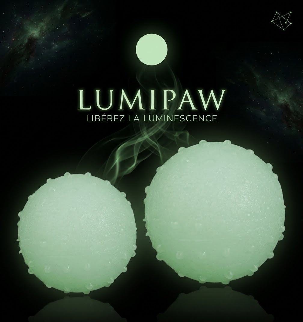 LumiPaw — Balle réfléchissante rebondissante pour chien