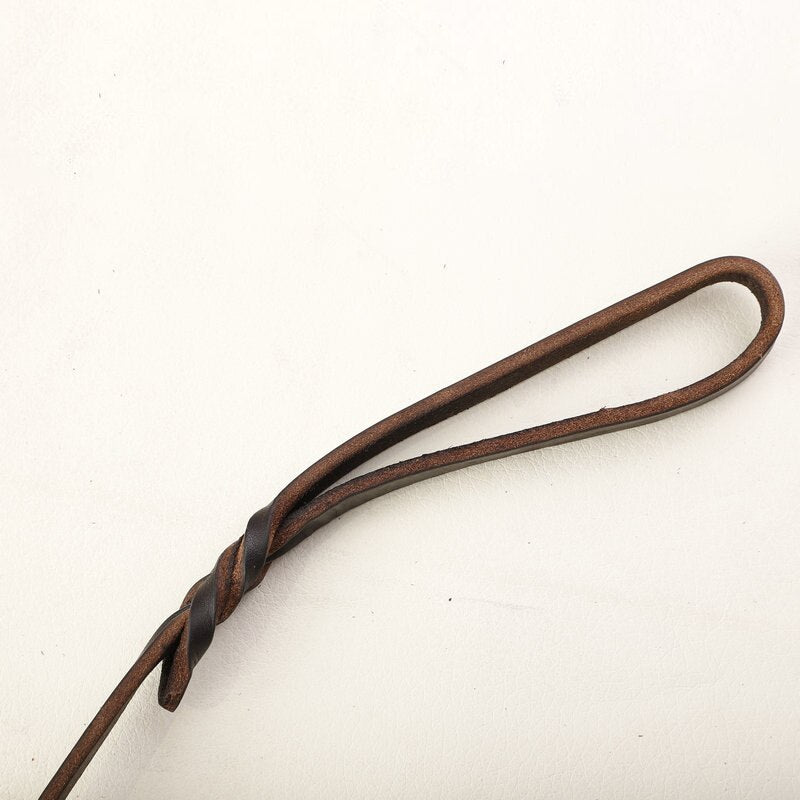 Laisse Eden — Cuir véritable, contrôle doux pour grand chien