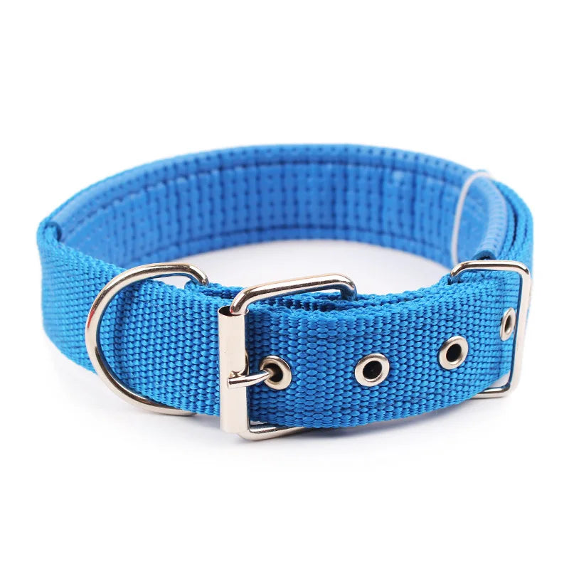UrbanPaw — Collier nylon robuste pour chien