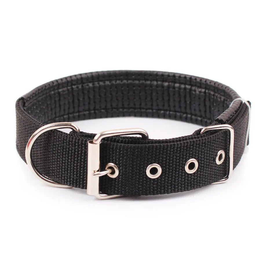 UrbanPaw — Collier nylon robuste pour chien