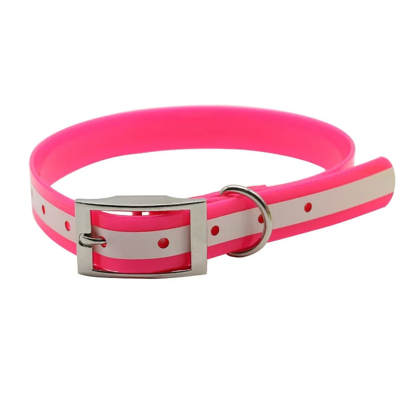 NightWalk — Collier lumineux réfléchissant pour chien