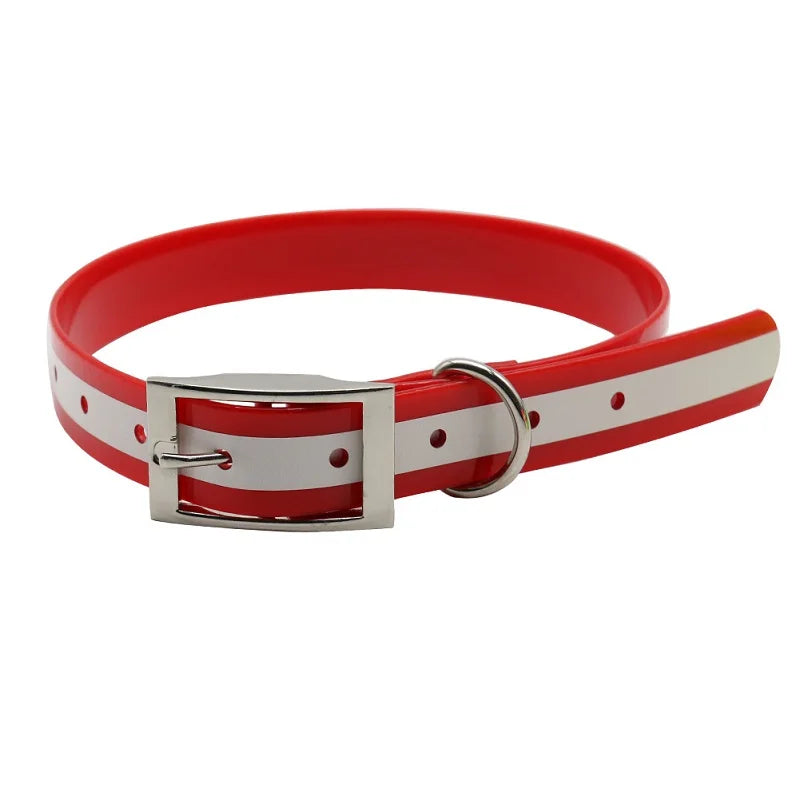 NightWalk — Collier lumineux réfléchissant pour chien