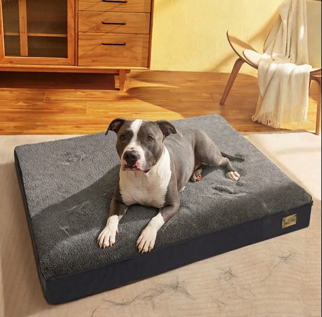 OrthoPet — Lit orthopédique en mousse à mémoire de forme pour chien