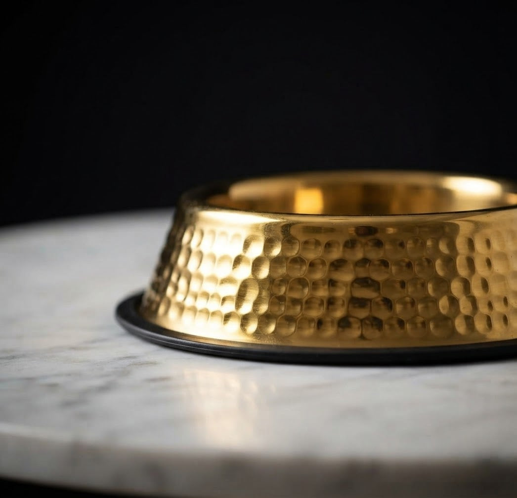 Royal Bowl — Gamelle inox finition dorée, grande capacité