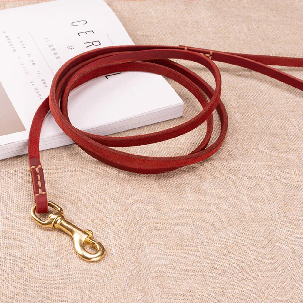 Pawstige — Laisse en cuir véritable souple pour chien