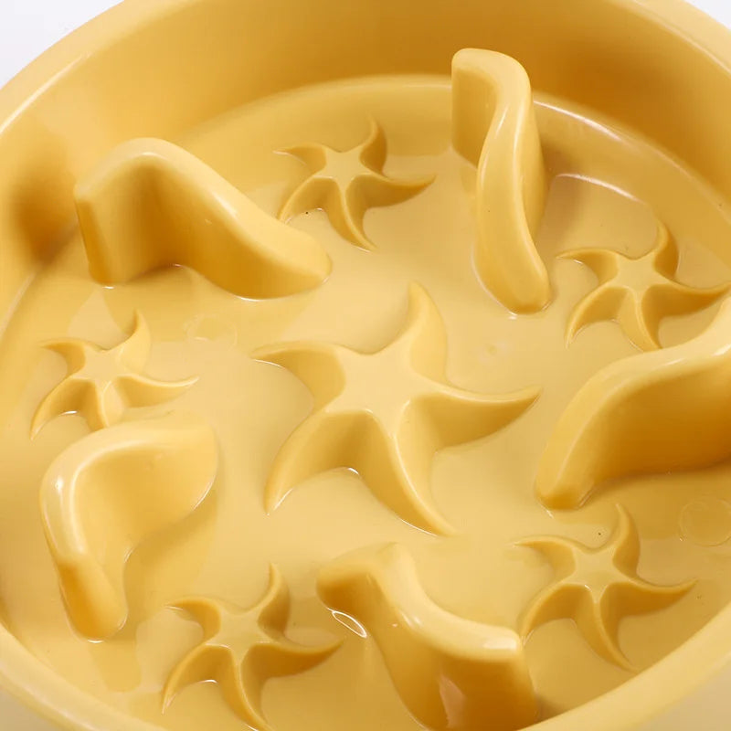 SlowBowl — Gamelle anti-glouton pour chien et chat
