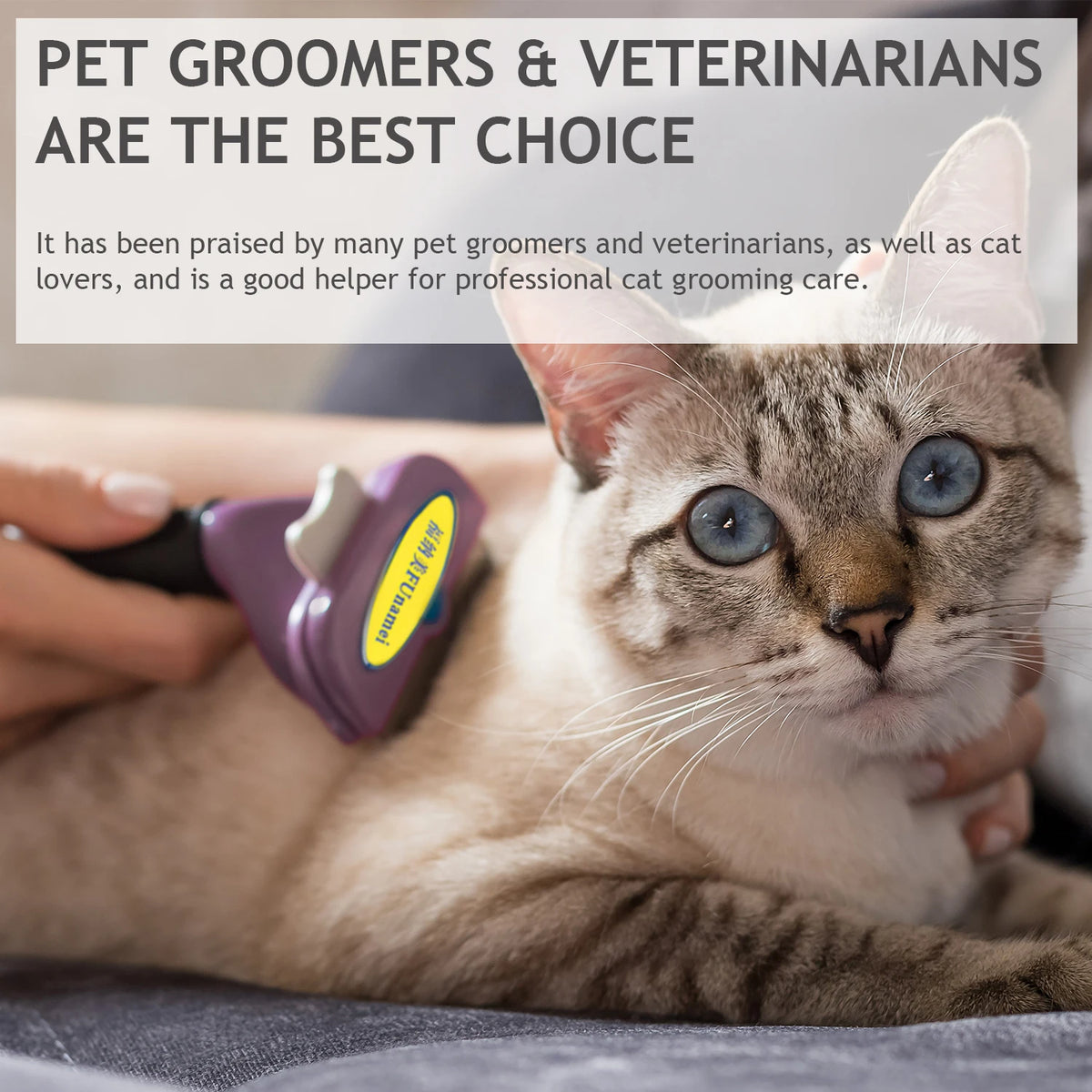 PoilPlume — Brosse de toilettage à éjection automatique pour chien et chat