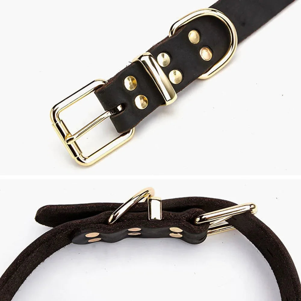 CuirNoble — Collier en cuir véritable rembourré pour chien