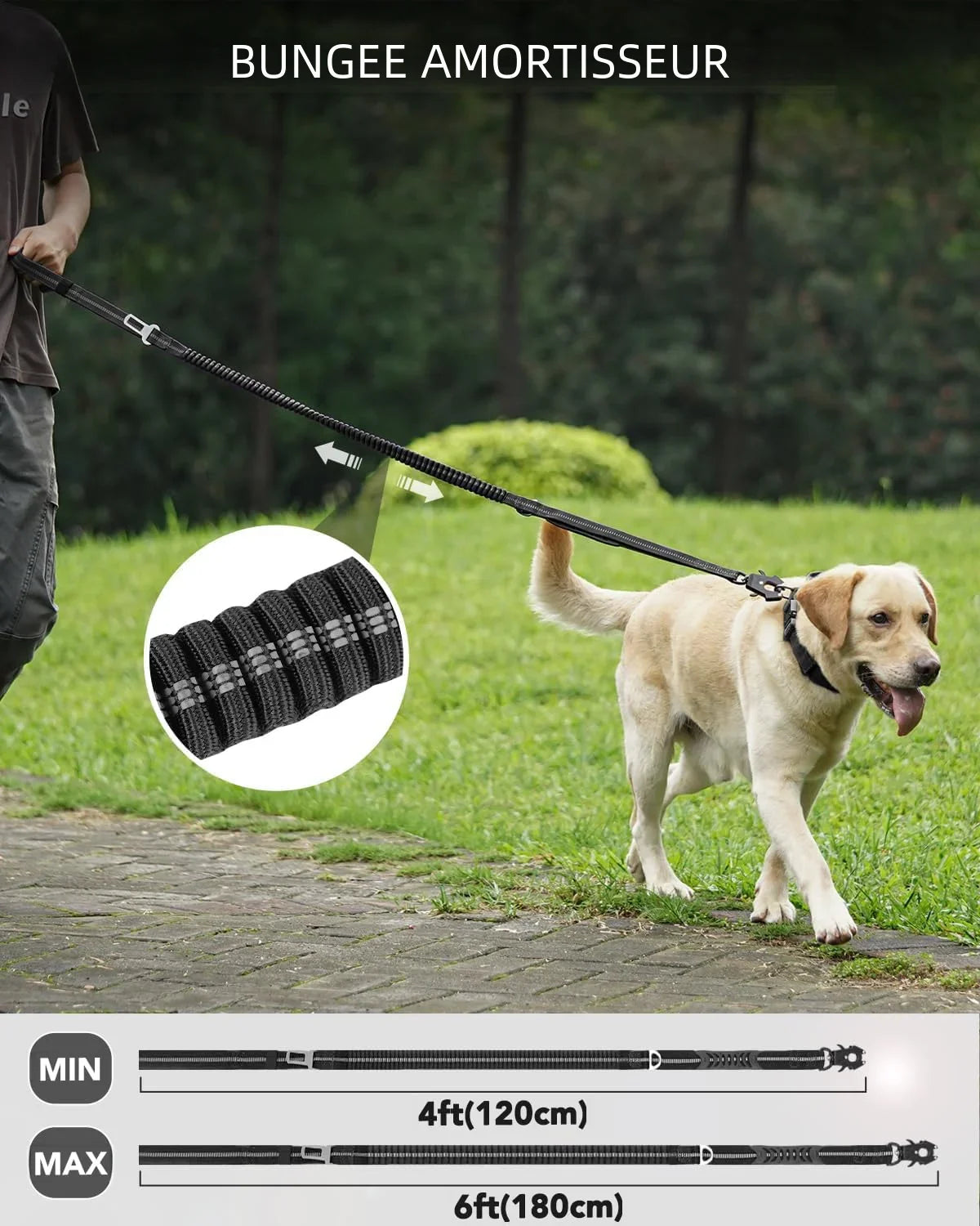 FlexLead — Laisse robuste à amortisseur élastique pour chien