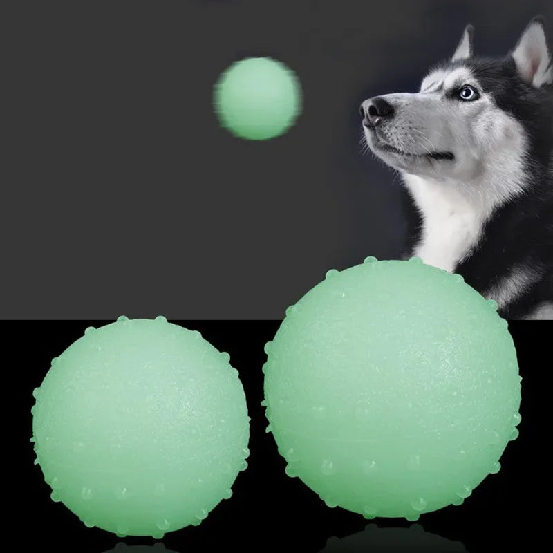 LumiPaw — Balle réfléchissante rebondissante pour chien
