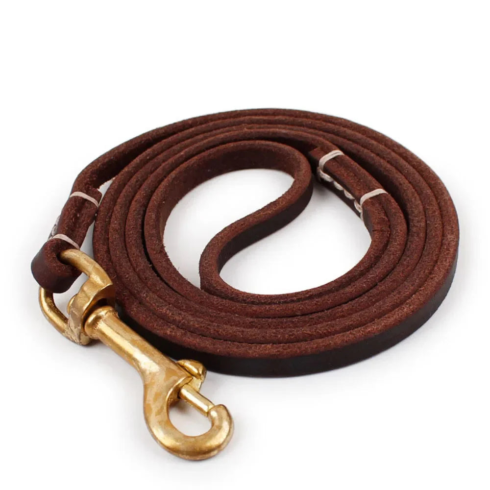 Pawstige — Laisse en cuir véritable souple pour chien