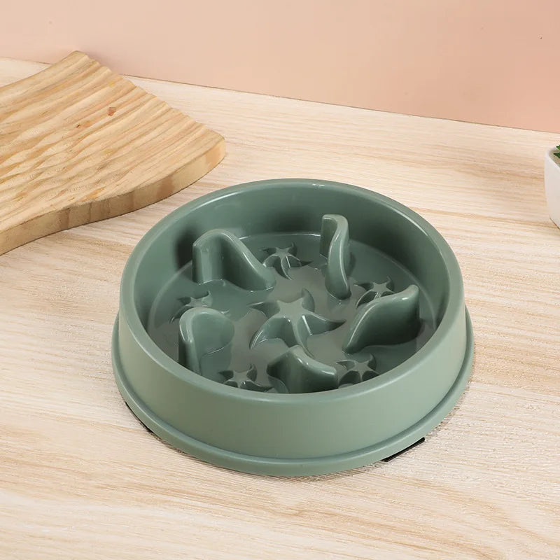 SlowBowl — Gamelle anti-glouton pour chien et chat
