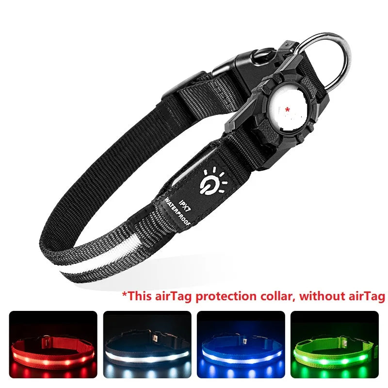 LightWalk — Collier LED rechargeable pour chien, visible de nuit avec support GPS