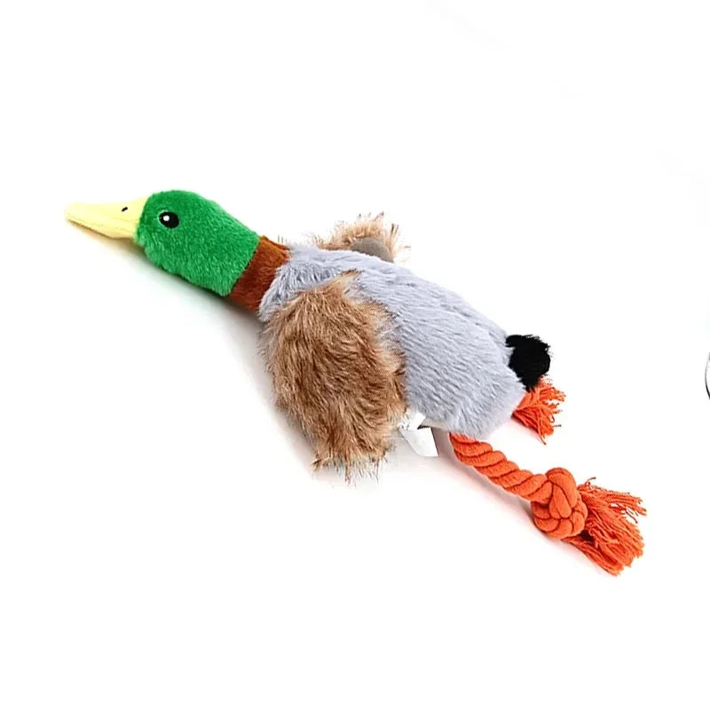 Couic & Destroy — Jouet peluche canard couineur pour chien