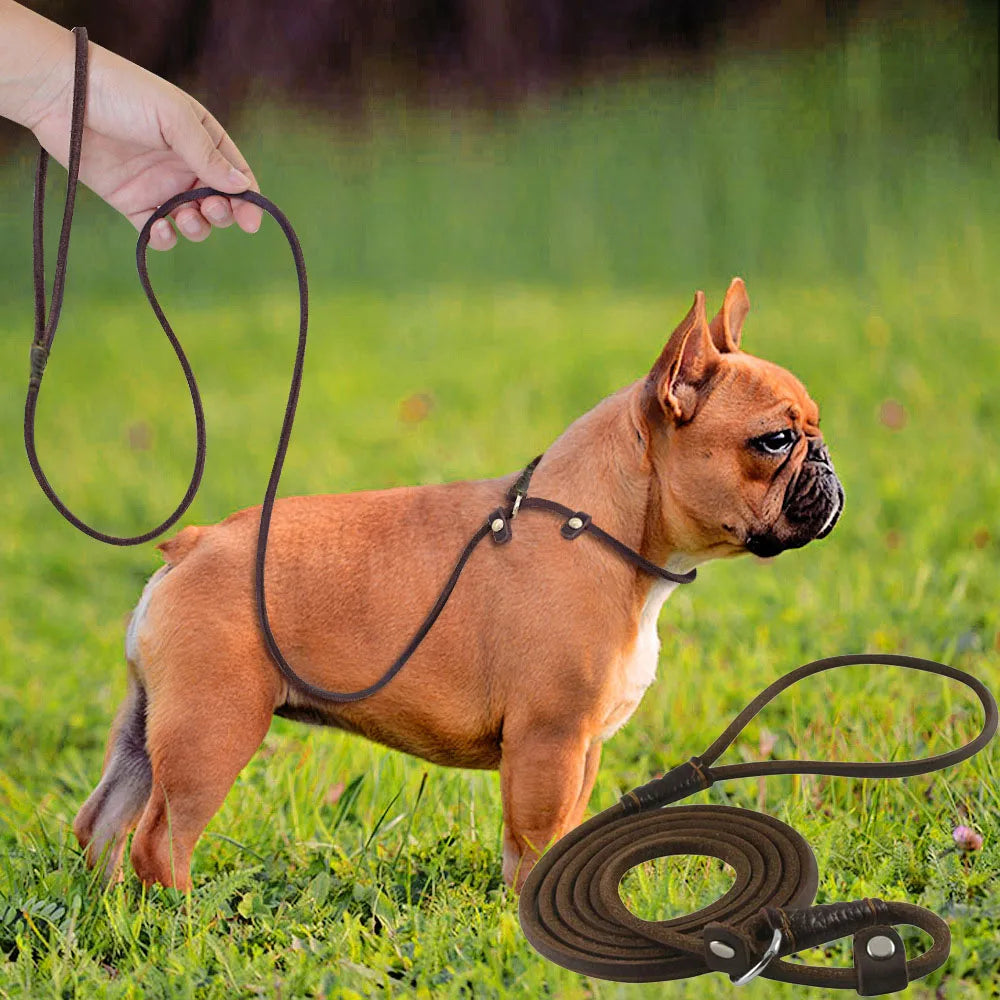 SlipPaw — Laisse lasso en cuir souple pour chien et chiot