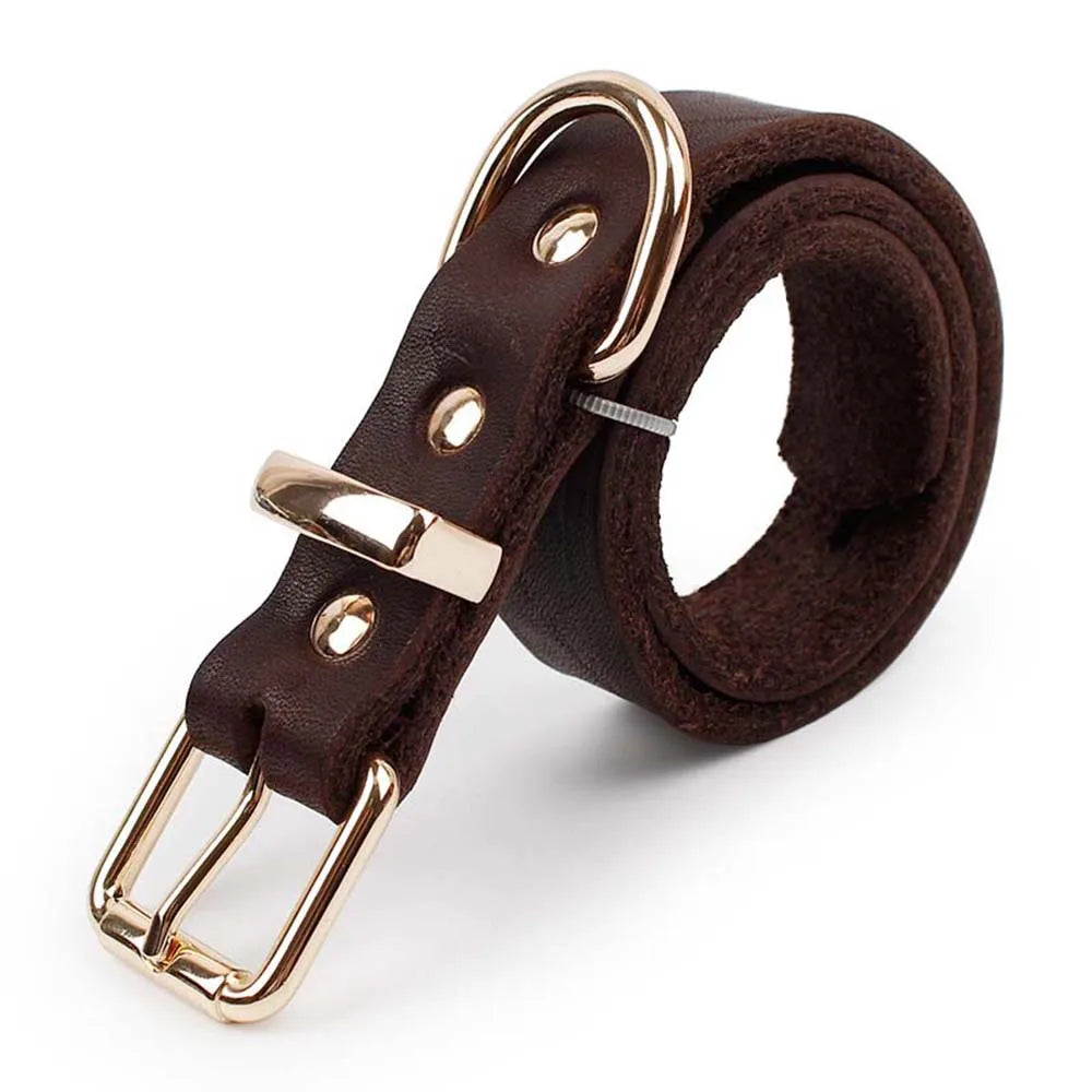 CuirNoble — Collier en cuir véritable rembourré pour chien