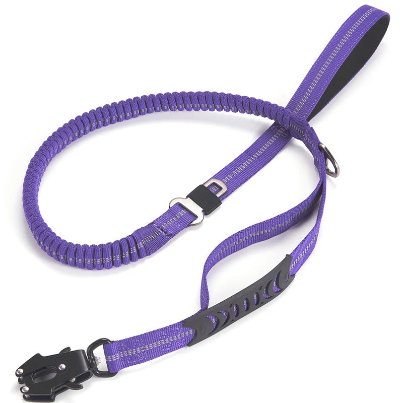 FlexLead — Laisse robuste à amortisseur élastique pour chien