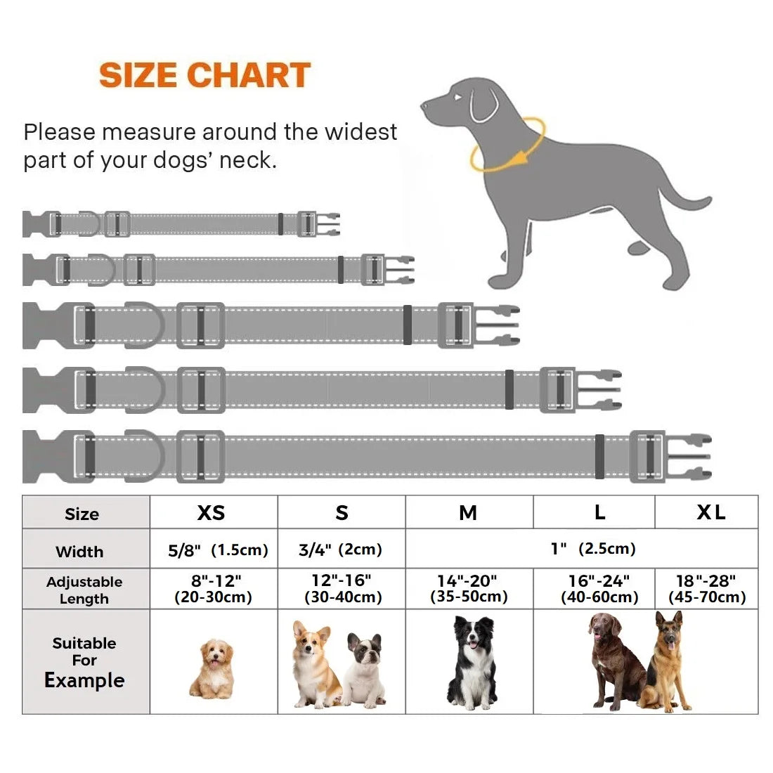 VifPaw — Collier nylon réfléchissant 10 coloris pour chien