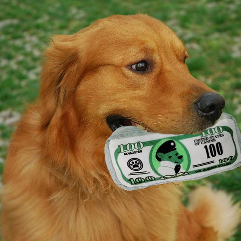 Cash Dog — Jouet couineur en forme de liasse de billets pour chien