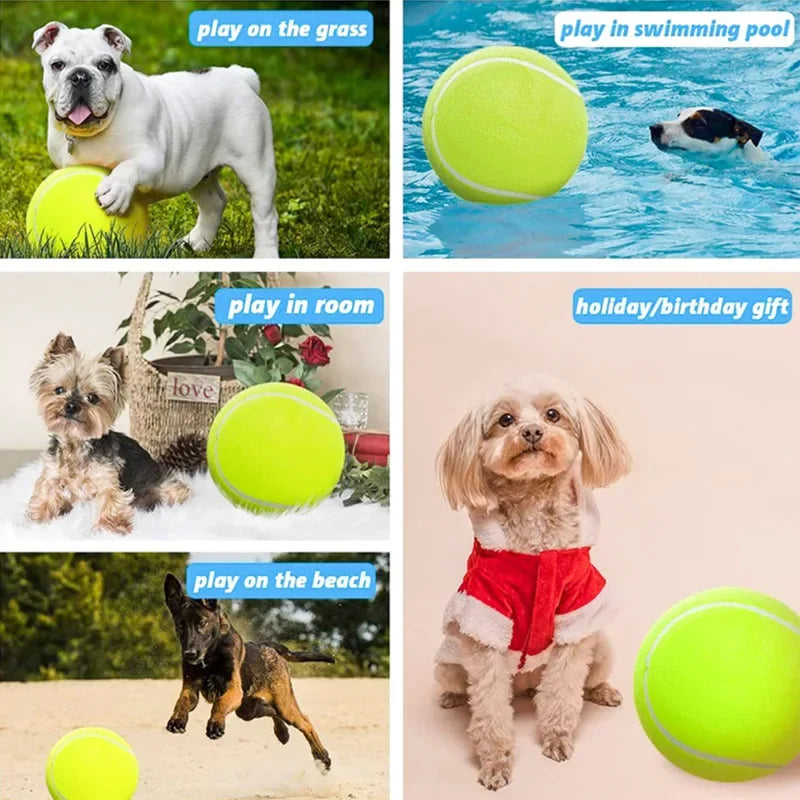 Dogovic — Balle de tennis géante pour chien