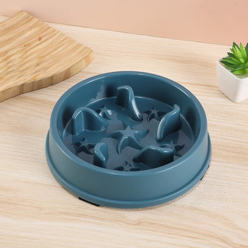 SlowBowl — Gamelle anti-glouton pour chien et chat