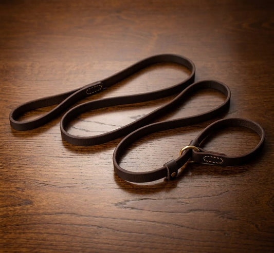Laisse Eden — Cuir véritable, contrôle doux pour grand chien