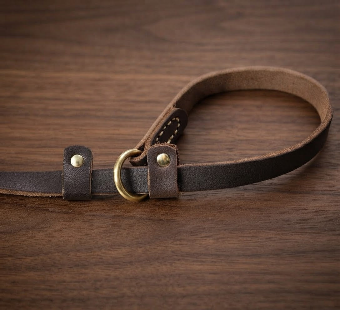 Laisse Eden — Cuir véritable, contrôle doux pour grand chien