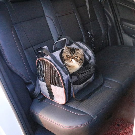 Le Baluchon Nomade, sac de transport pliable pour chien et chat