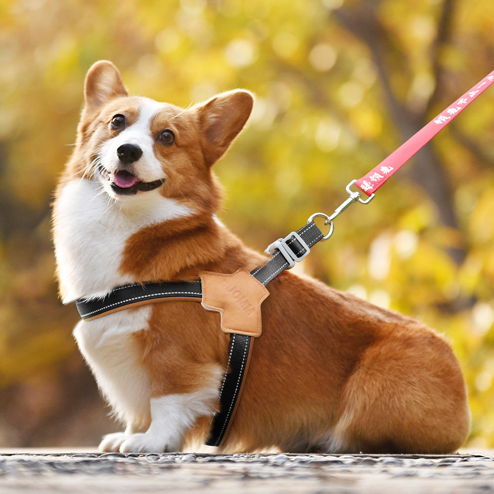 EdenWalk — Harnais réfléchissant anti-traction pour chien