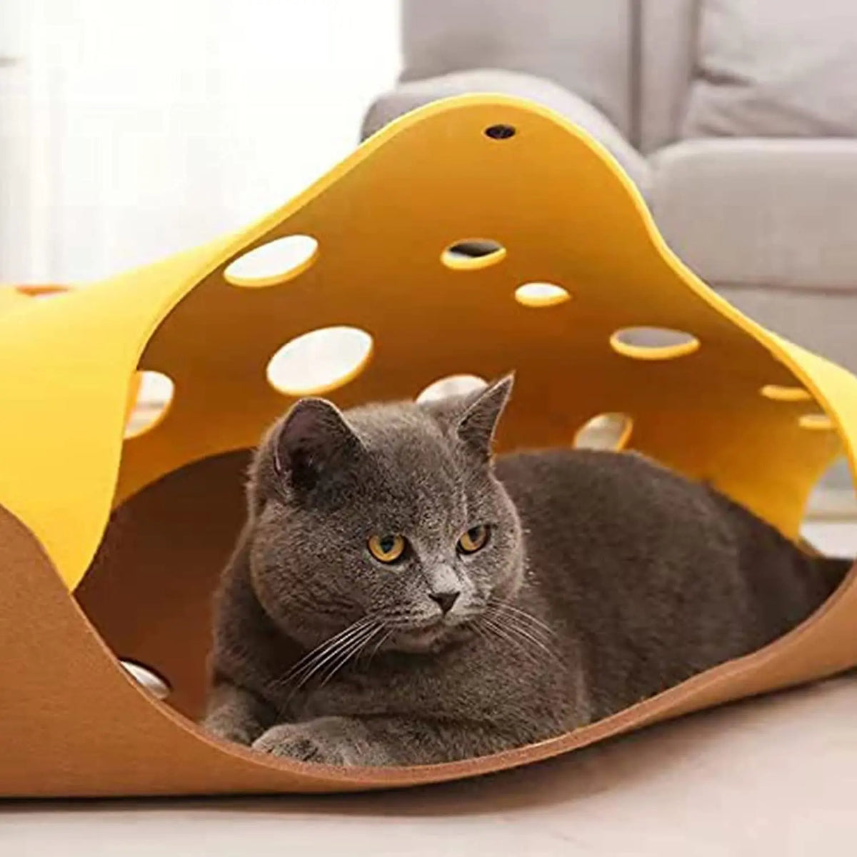 Gruyéronron — Tunnel de jeu à trous pour chat