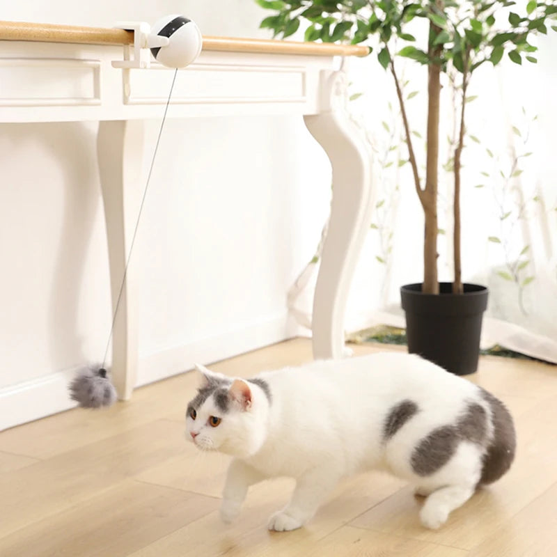 MiaouMotion — Balle interactive pour chat