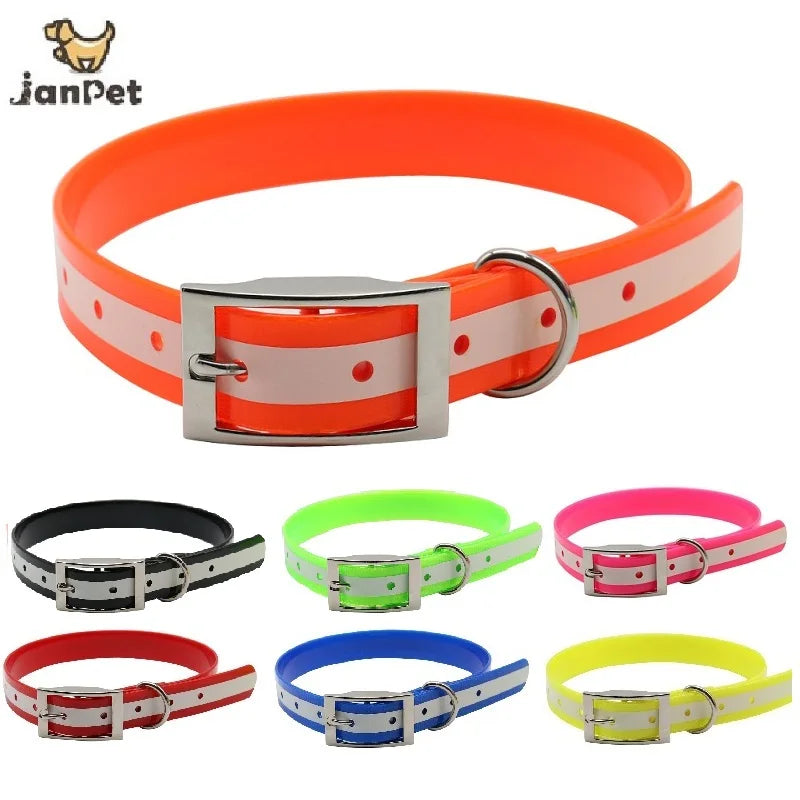 NightWalk — Collier lumineux réfléchissant pour chien