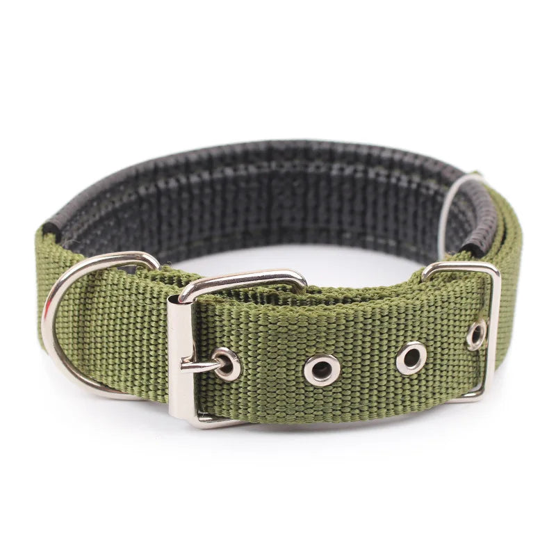 UrbanPaw — Collier nylon robuste pour chien