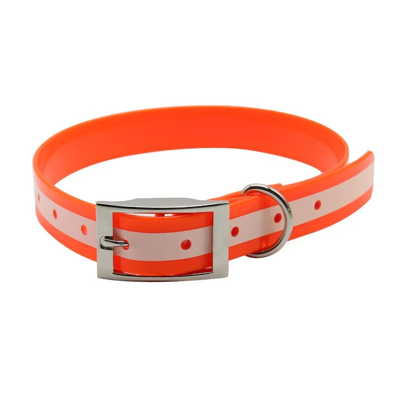 NightWalk — Collier lumineux réfléchissant pour chien