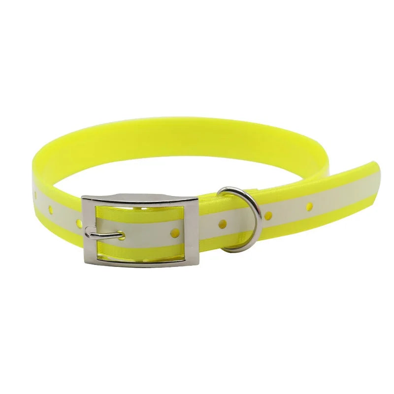 NightWalk — Collier lumineux réfléchissant pour chien