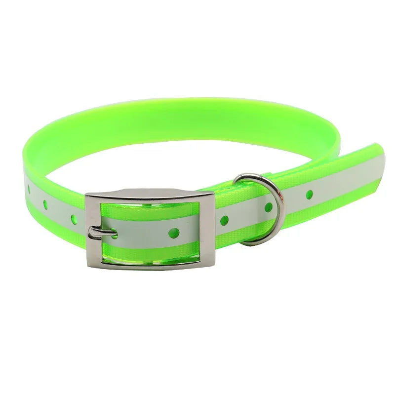 NightWalk — Collier lumineux réfléchissant pour chien