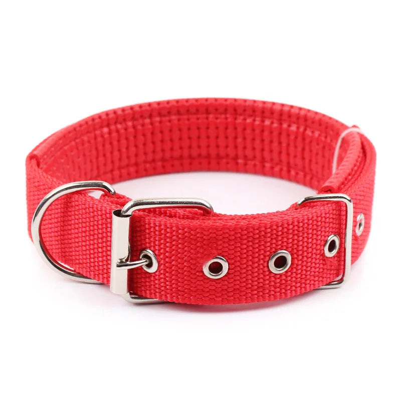 UrbanPaw — Collier nylon robuste pour chien