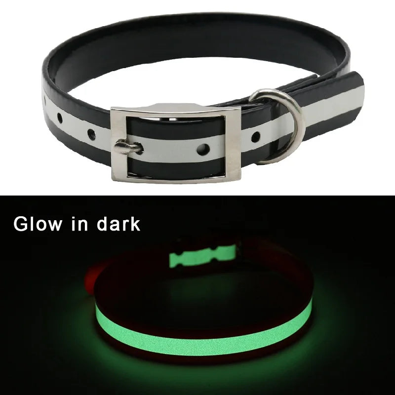 NightWalk — Collier lumineux réfléchissant pour chien