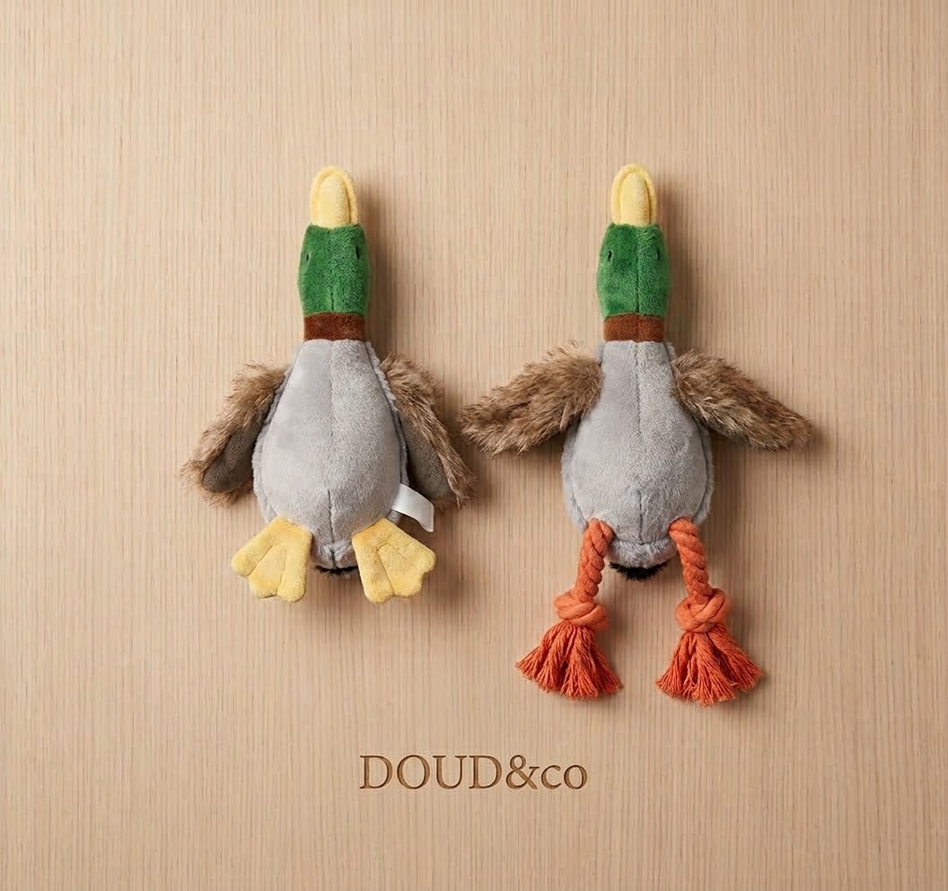 Couic & Destroy — Jouet peluche canard couineur pour chien