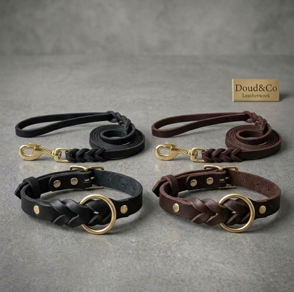 Le Lien Royal — Collier et laisse en cuir tressé