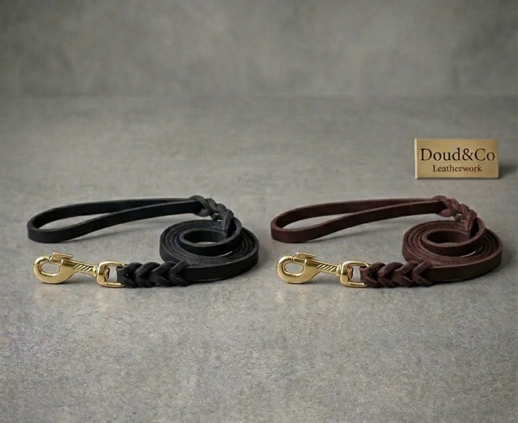 Le Lien Royal — Collier et laisse en cuir tressé