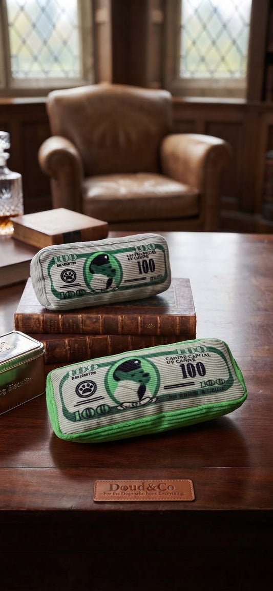 Cash Dog — Jouet couineur en forme de liasse de billets pour chien
