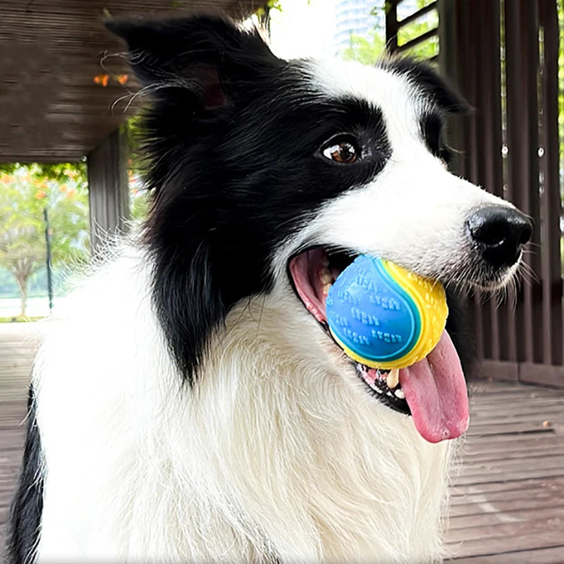 BounceDog — Balle TPR pour chien, nettoyante et résistante