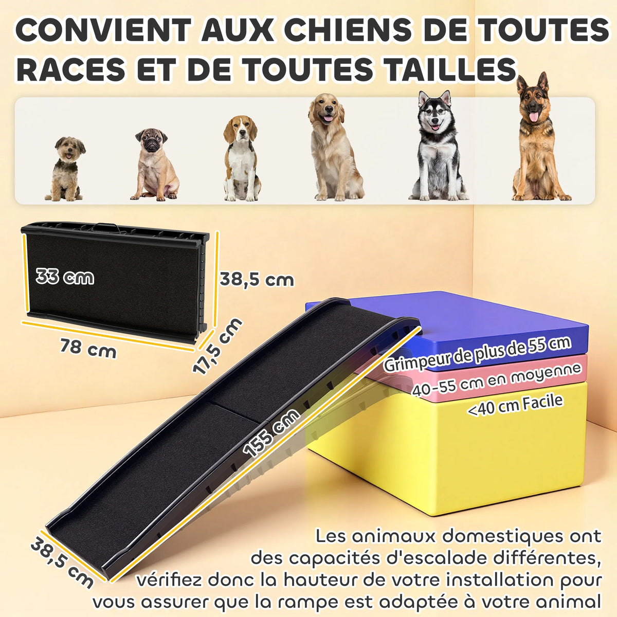 PawRamp — Rampe pliable pour chien, pente douce et surface antidérapante