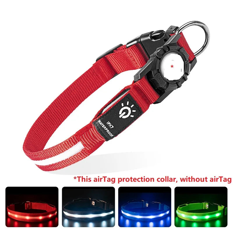 LightWalk — Collier LED rechargeable pour chien, visible de nuit avec support GPS