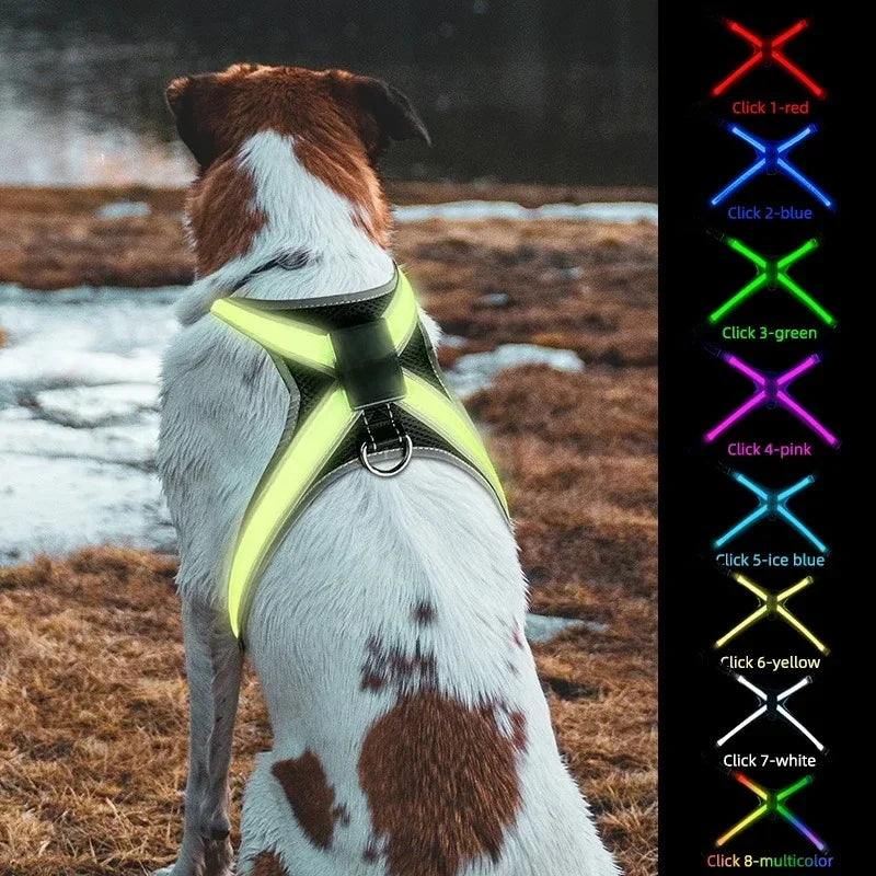 NightDog — Harnais lumineux LED rechargeable pour chien