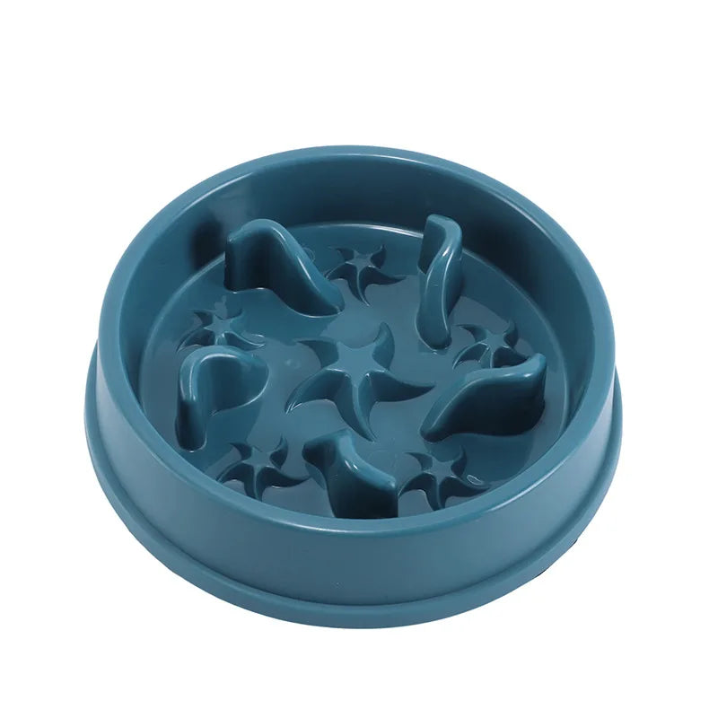 SlowBowl — Gamelle anti-glouton pour chien et chat