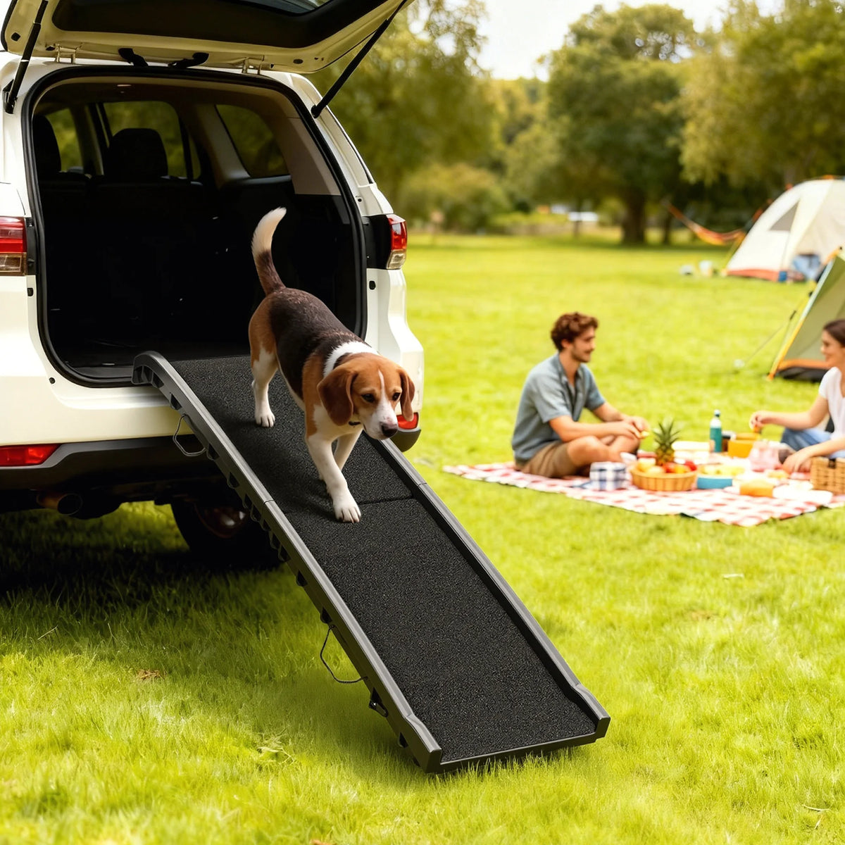 PawRamp — Rampe pliable pour chien, pente douce et surface antidérapante