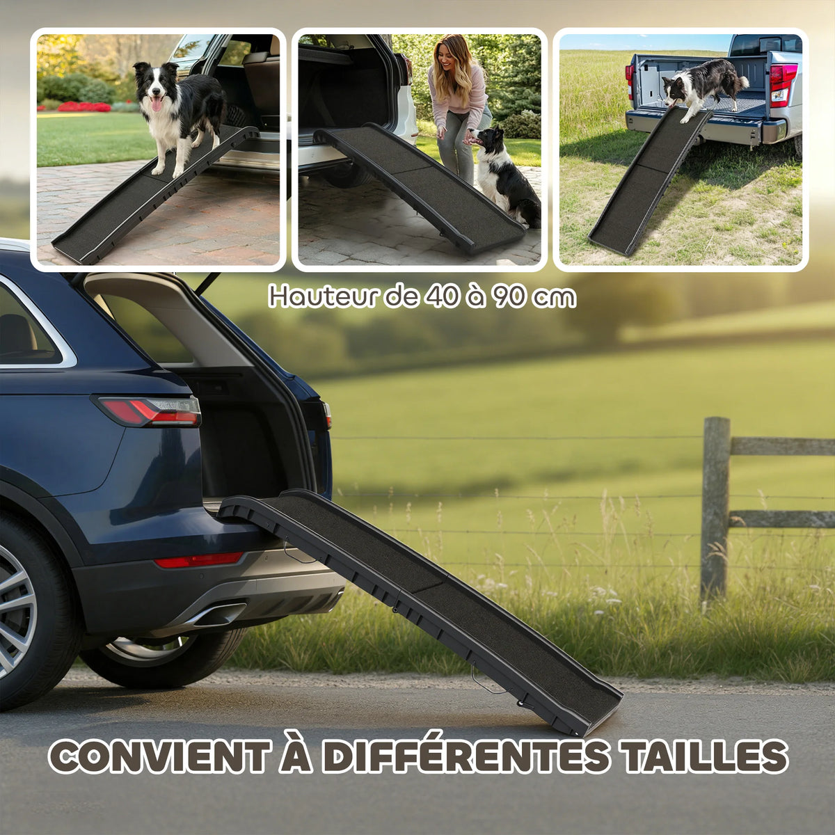 PawRamp — Rampe pliable pour chien, pente douce et surface antidérapante