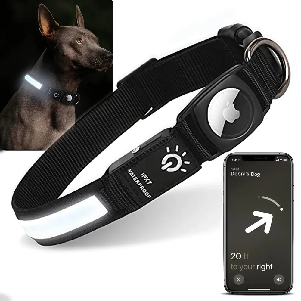 LightWalk — Collier LED rechargeable pour chien, visible de nuit avec support GPS